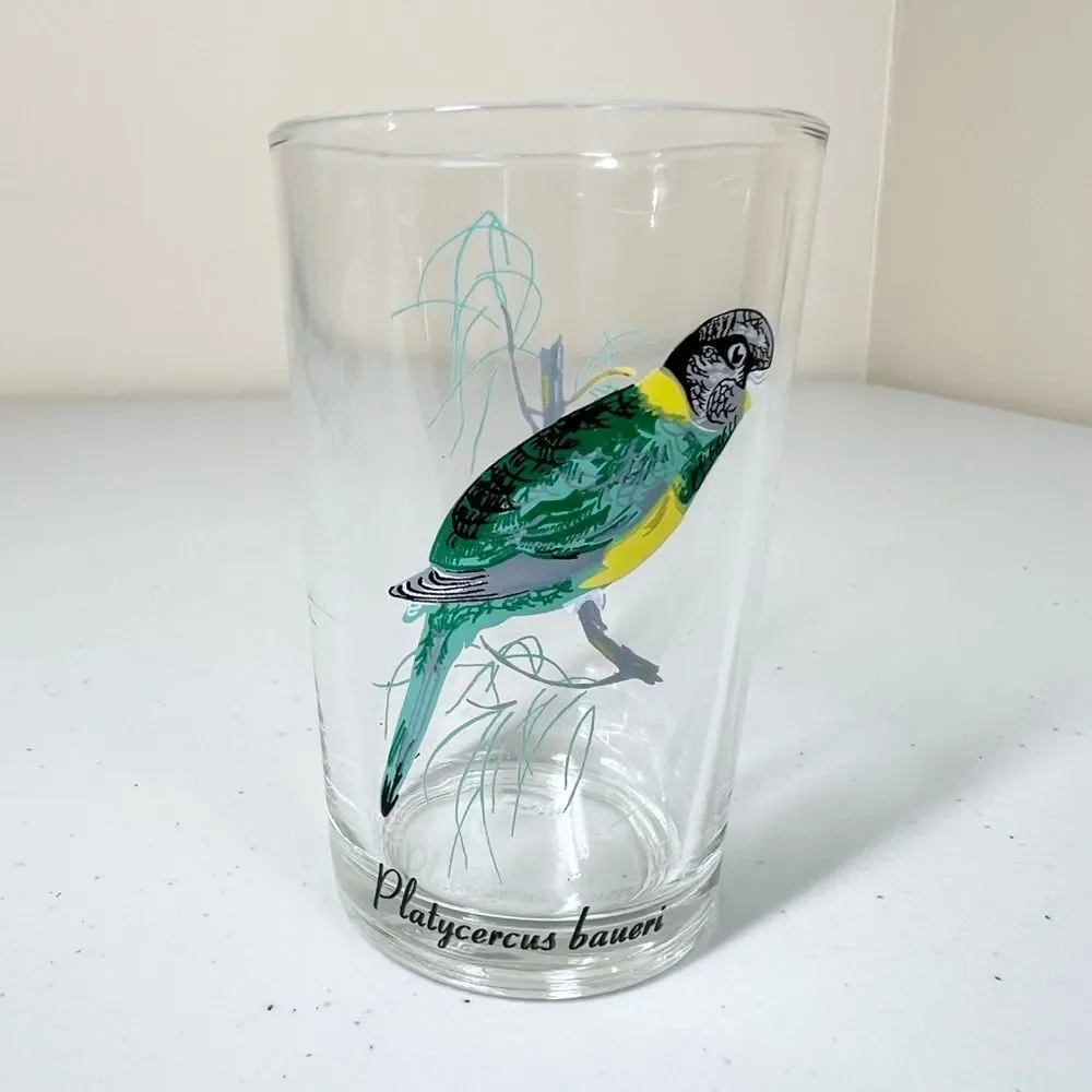 VTG 60’s Kig Malaysia Exotic Tropical Bird Glasses Set of 6